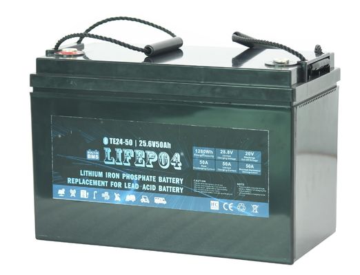가지고 다닐 수 있는 24v 30ah Lifepo4 전지 Lifepo4 리튬 이온 전지